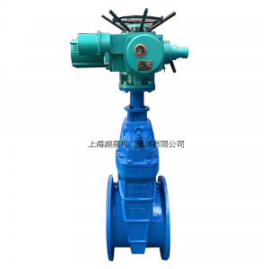 上海湖泉Z945X-10/16Q  DN700電動彈性座封閘閥